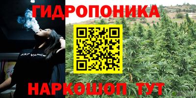круглые Заводоуковск