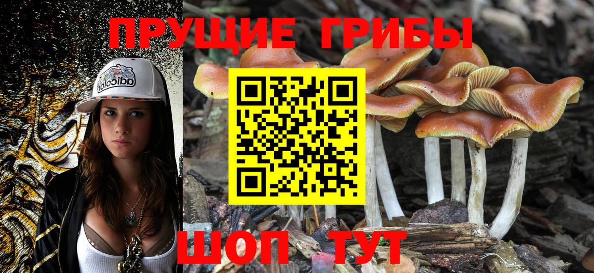 Галлюциногенные грибы мухоморы  Вход с VPN  Псилоцибиновые грибы прущие грибы  Камышин 